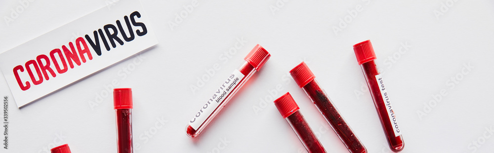 Obraz premium panoramic shot of test tubes with blood samples and coronavirus test near paper with coronavirus lettering on white