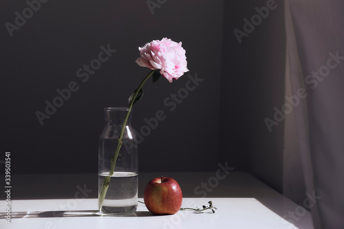 a rose and an apple in a dark room