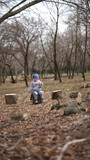 Little boy in a gray jacket sits on a stump with a twig in his hands in the park