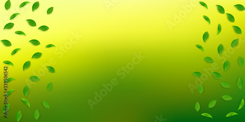 Falling green leaves. Fresh tea random leaves flyi