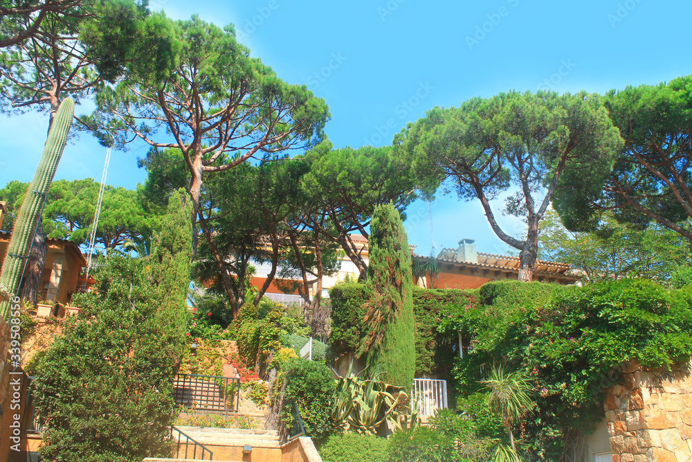 Landscape with trees in sunny weather in Lloret de mar. Catalonia, Spain. Landscape with trees in sunny weather in Lloret de mar. Catalonia, Spain.