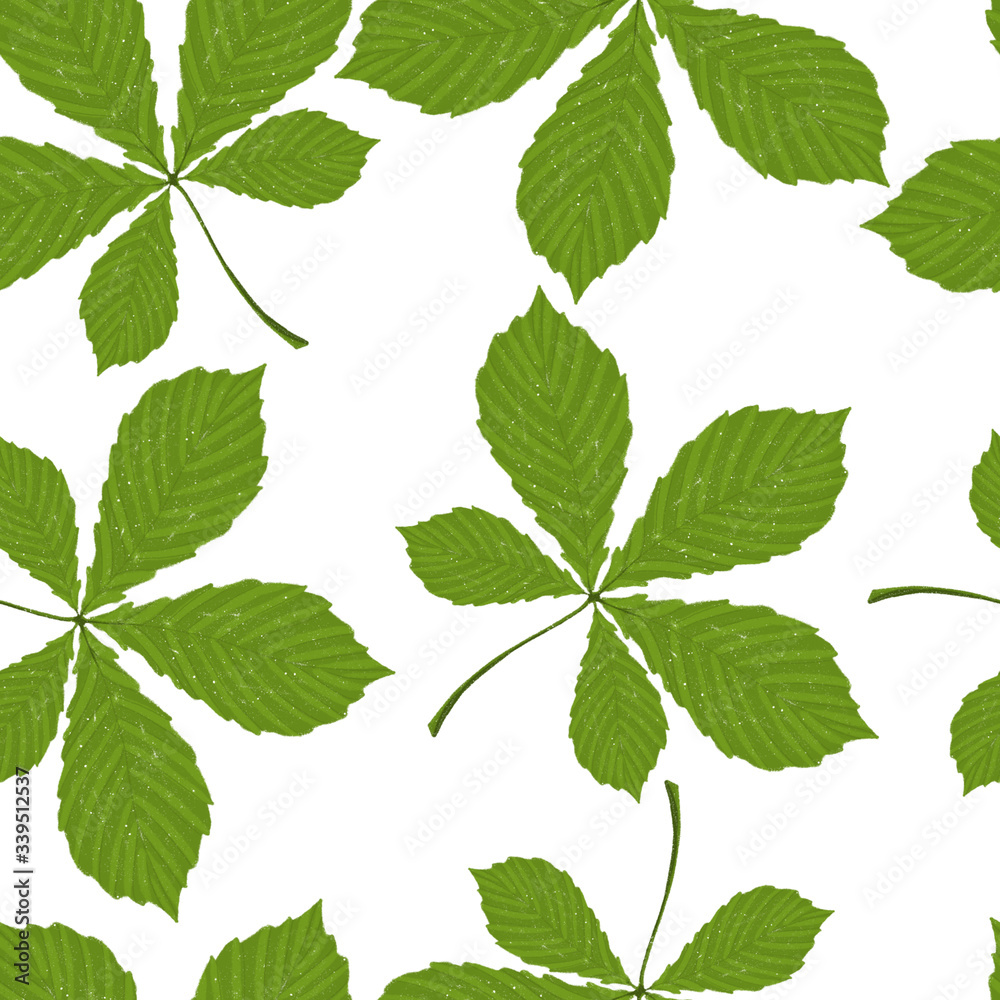 Botanical pattern of chestnut leaves on a white background. Illustration with city trees. Good for textile decor, packaging of organic products, paper, creating posters and backgrounds. Botanical pattern of chestnut leaves on a white background. Illustration with city trees. Good for textile decor, packaging of organic products, paper, creating posters and backgrounds.