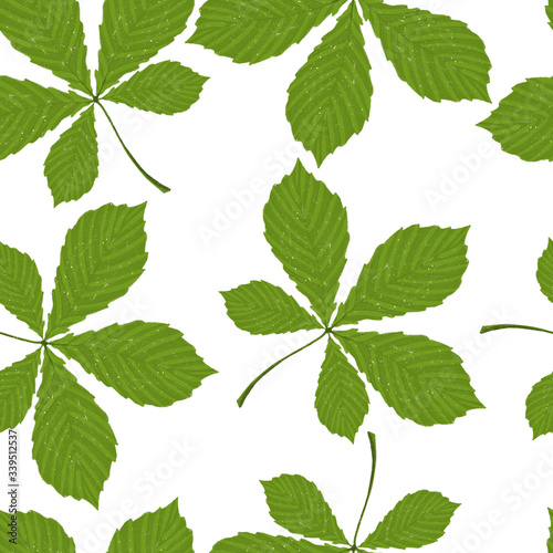 Botanical pattern of chestnut leaves on a white background. Illustration with city trees. Good for textile decor, packaging of organic products, paper, creating posters and backgrounds.