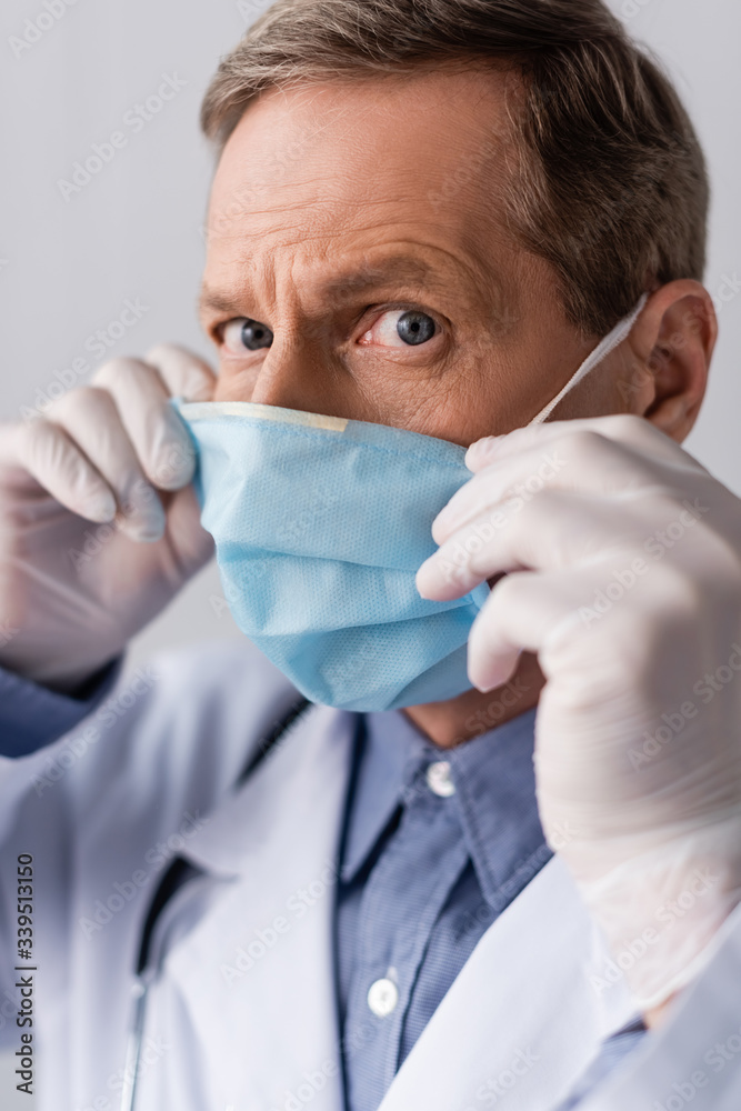 middle aged doctor in latex gloves touching blue medical mask isolated on grey middle aged doctor in latex gloves touching blue medical mask isolated on grey