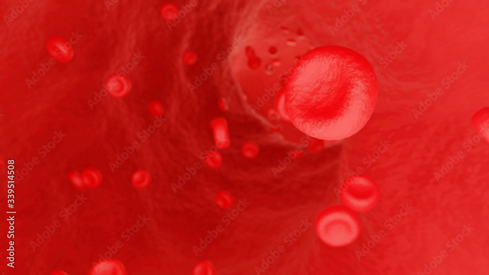 Red Blood Cells Floating in Blood Vessel 3d Rendering