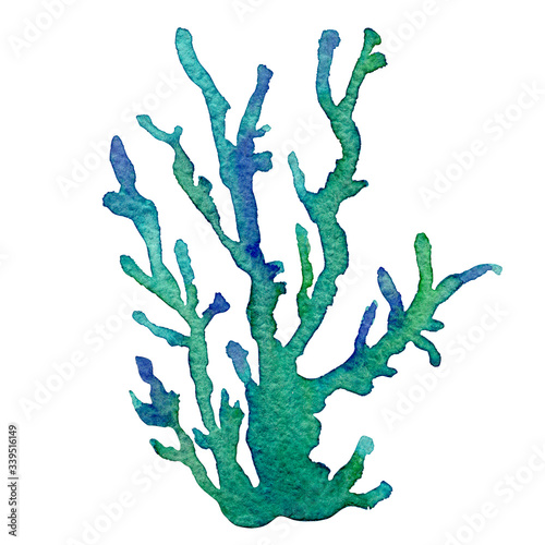 Watercolor illustration of the green coral reefs on a white background. Hand drawn on paper.