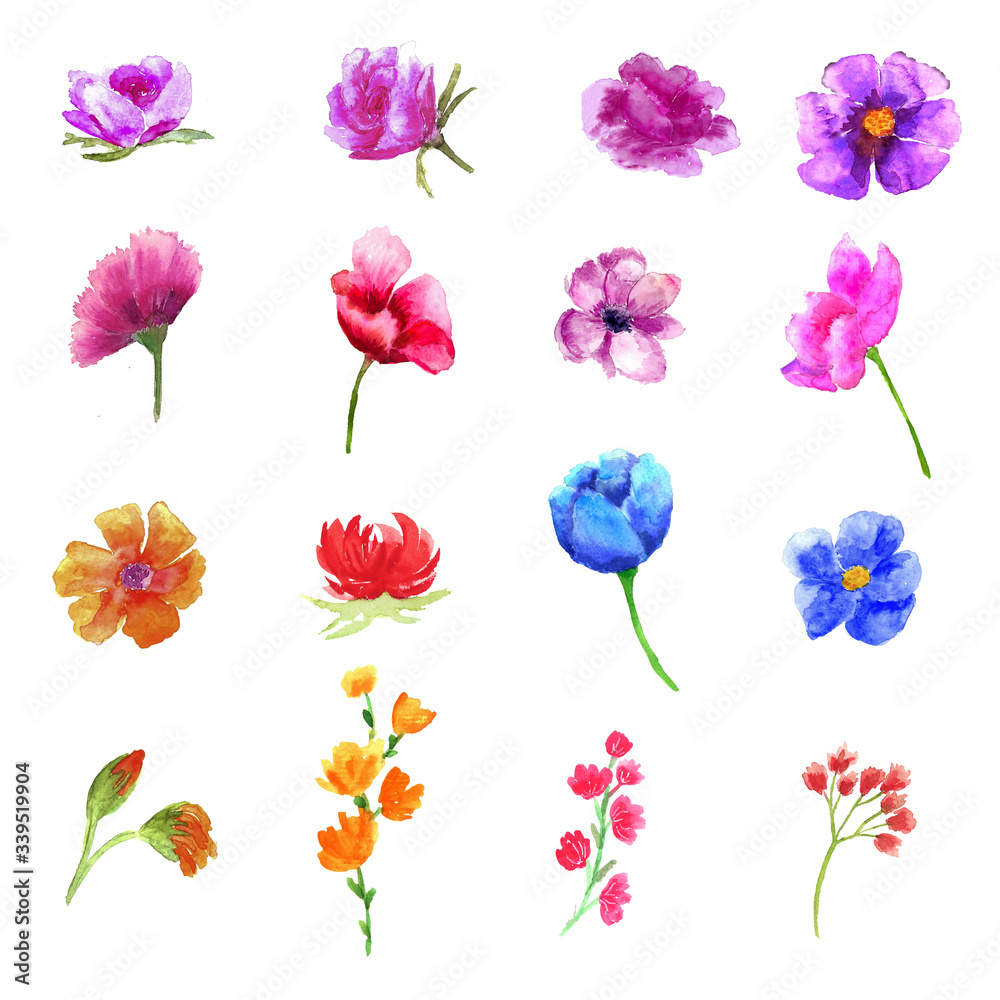 Set with watercolor flowers. Drawing on a white background. For logos, design.