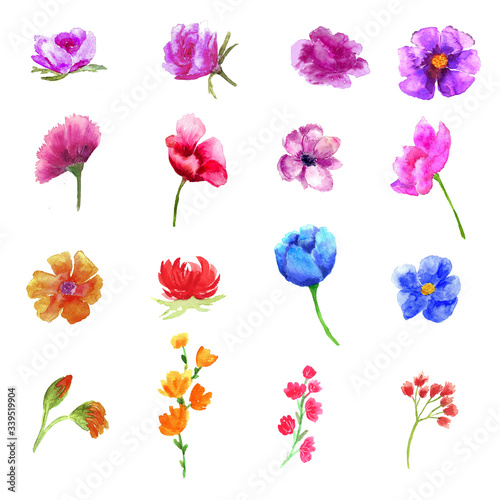 Set with watercolor flowers. Drawing on a white background. For logos, design.