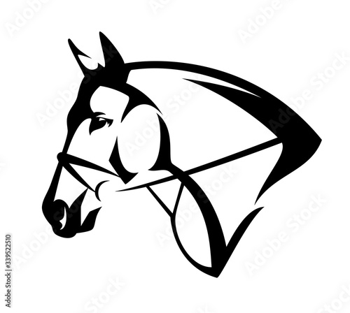 bridled horse profile head black and white evctor outline portrait