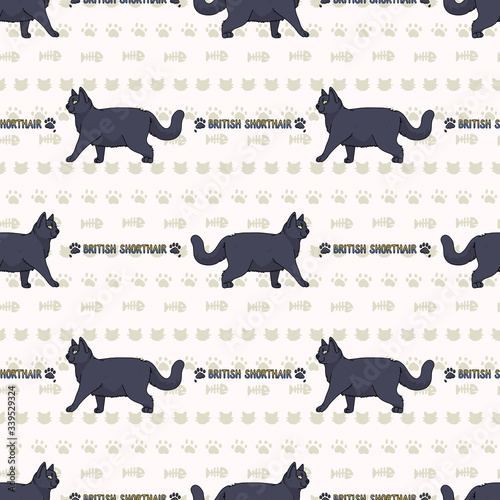 Cute cartoon British shorthair cat with text seamless vector pattern. Pedigree kitty breed domestic kitty background. Cat lover English purebred all over print. Feline EPS 10. 