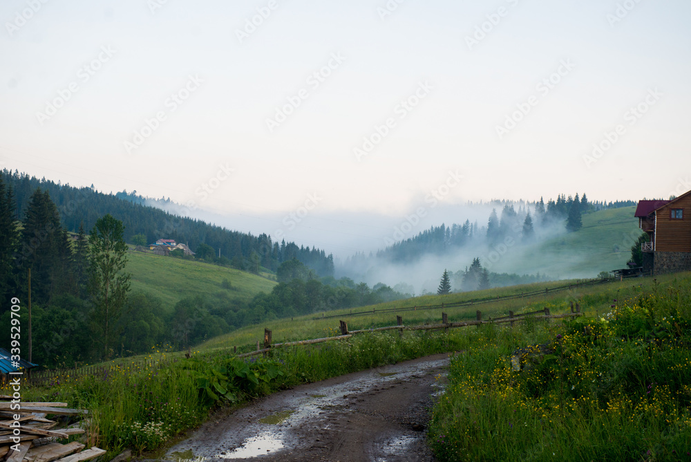 morning in the mountains