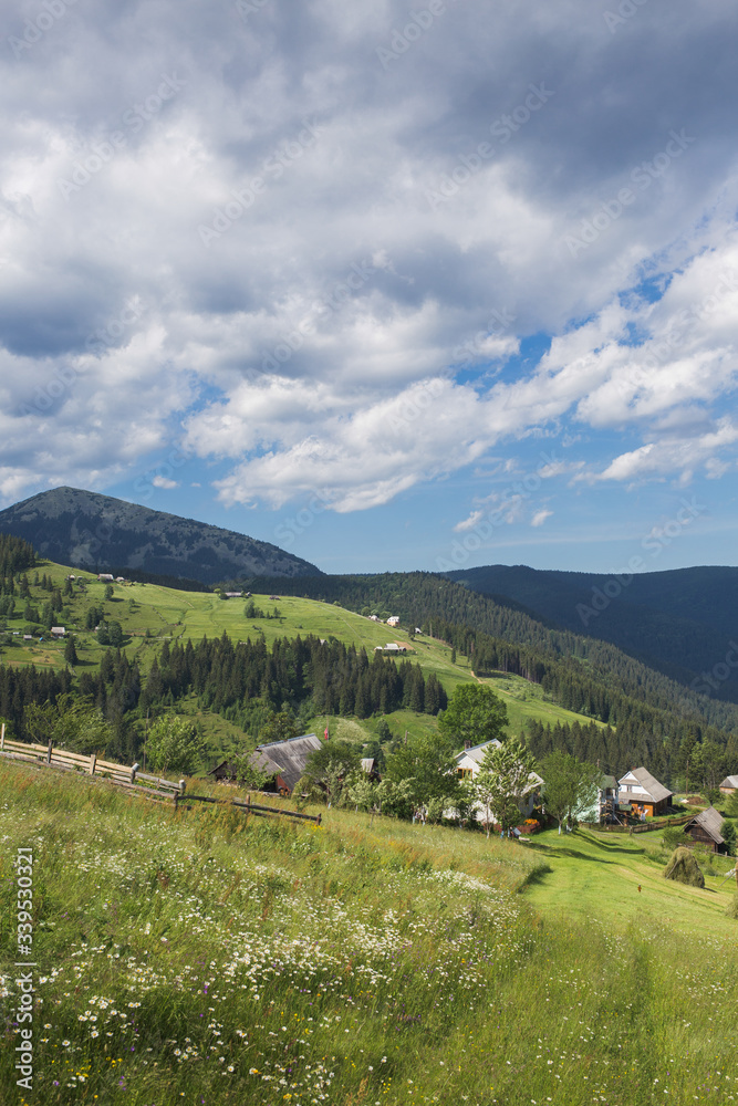 Vertical photography of beautiful summer green landscape of picturesque mountain hills, green woods and countryside village cottages. Ukraine
