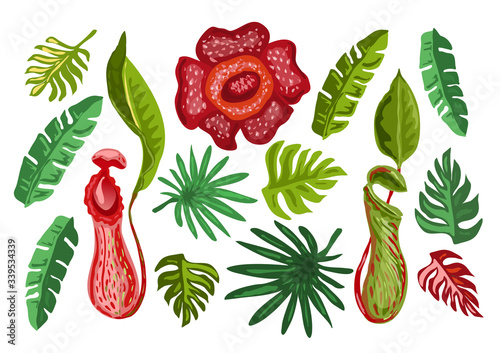 Tropical Flowers and Palm Leaves. 