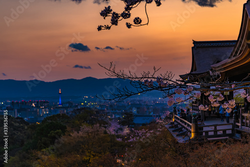 清水寺の本堂とサクラと京都タワー