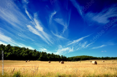 field and sky