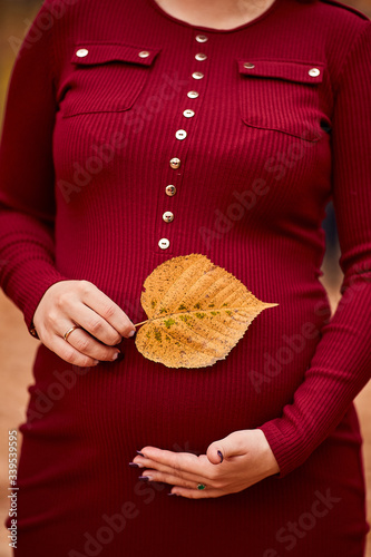 Close up of pregnant belly in nature, woman hands gently pat her stomach and hold the autumn leaf, 8 months