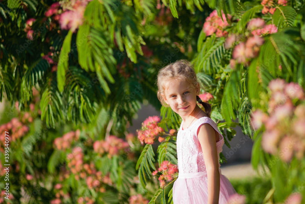 Close-up portrait of a child. Summer funny little girl next to a pink acacia in bloom. Albizia julibrissin Close-up portrait of a child. Summer funny little girl next to a pink acacia in bloom. Albizia julibrissin