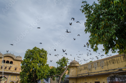 Photography Tourist places of Jaipur in Rajasthan, India
