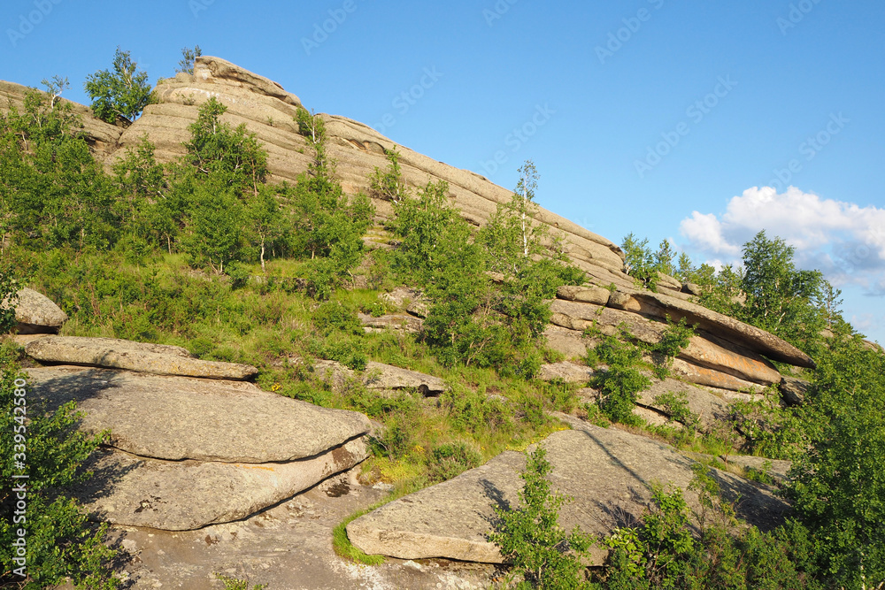 Fototapeta premium The high rock with small green trees, the blue sky with white cloud