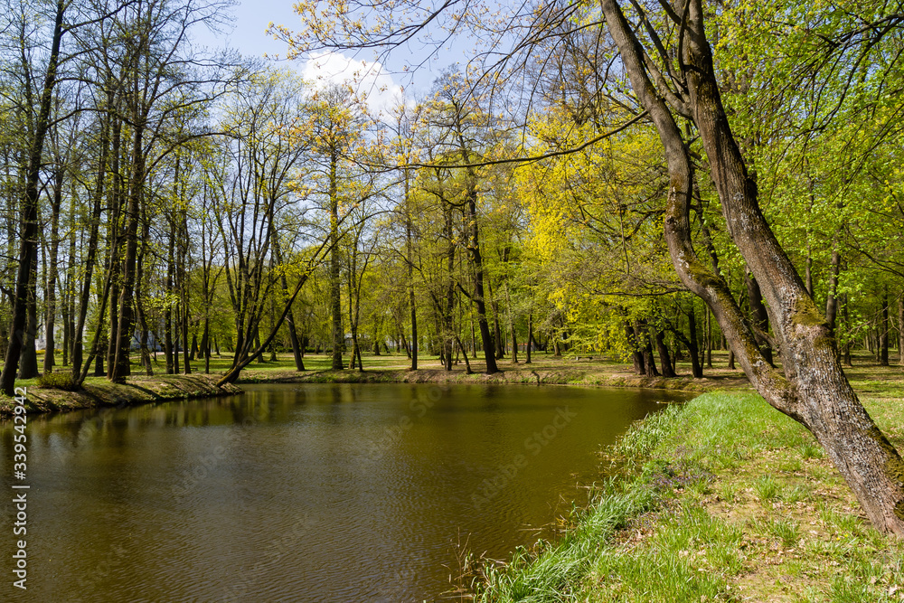 Wiosna w Parku Lubomirskich, Dojlidy, Białystok, Podlasie