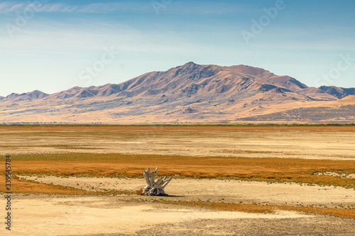 Salt Lake City, Utah, USA baren landscape at the Great Salt Lake. photo