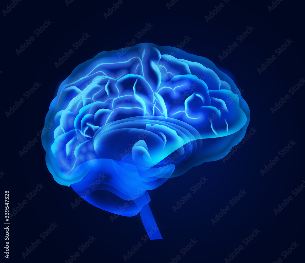 Illustration of human brain on blue background Illustration of human brain on blue background