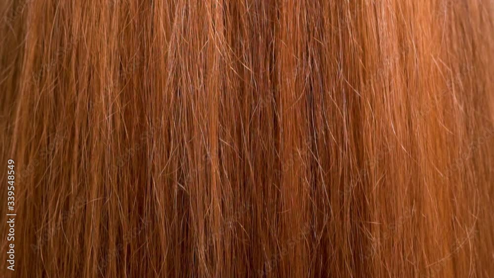 Macro Beautiful Shiny Red Orange Female Hair. Close-up of the Hair Structure. Macro Beautiful Shiny Red Orange Female Hair. Close-up of the Hair Structure.