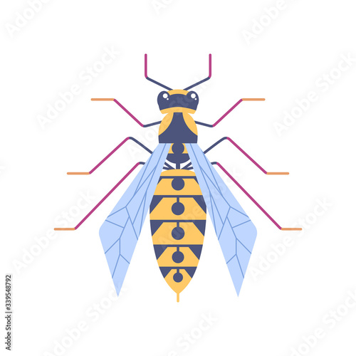 Wasp flat icon. Wildlife striped insect in flat style. Hornet symbol for logo and web design, branding element vector illustration. Color wasp pictogram isolated on white background.