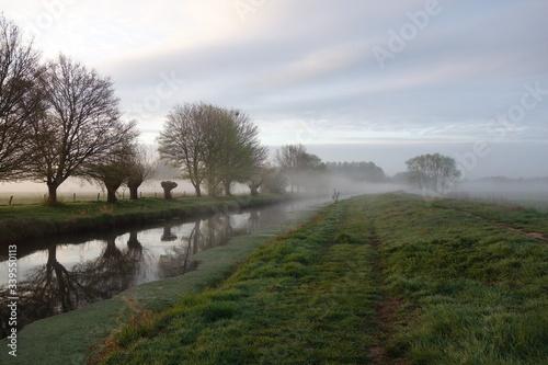 Bäume am Niersufer bei Grefrath Oedt photo