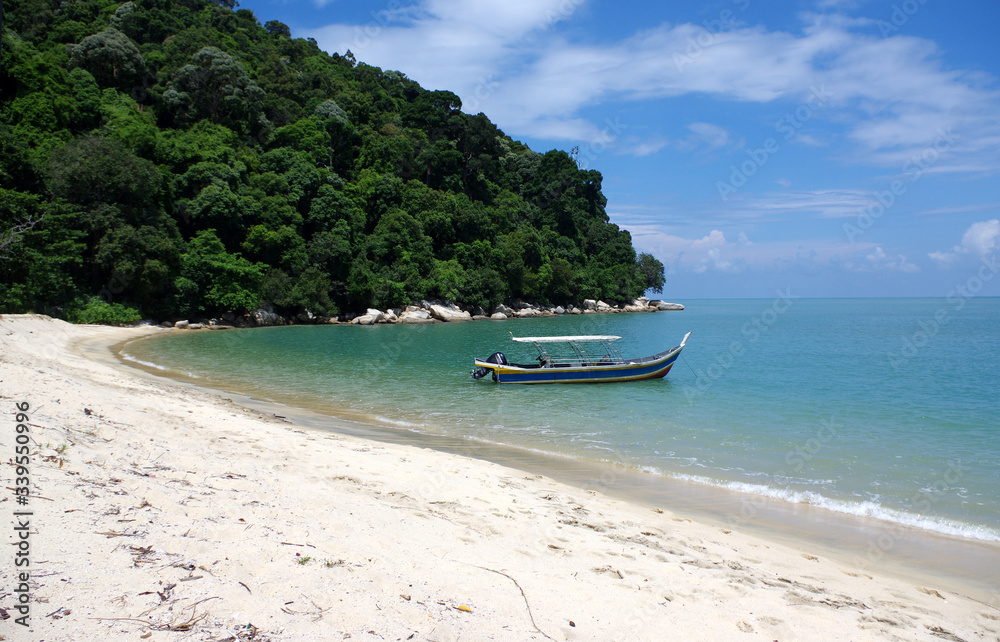Fototapeta premium plage des tortues sur l'île de Penang, Malaisie