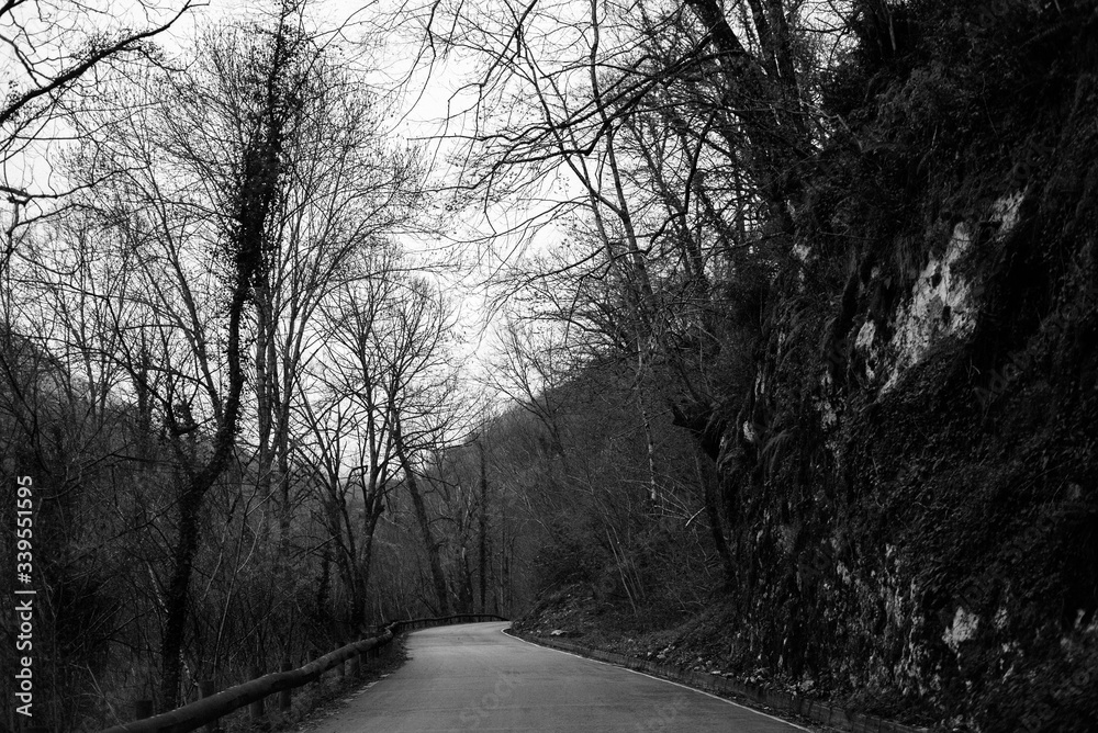 Obraz premium Carretera, invierno