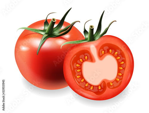 Realistic tomatoes isolated, fresh product, vegetarian food, vector illustration