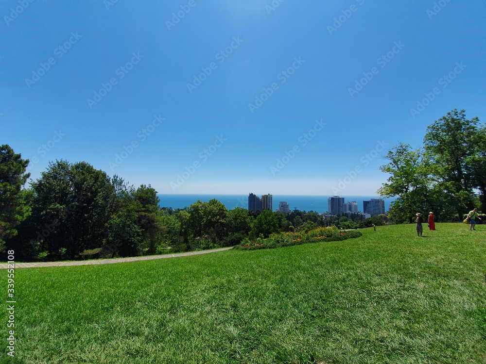 Obraz premium Sochi Arboretum Park, Russia