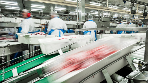 fast production line - meat production technology photo