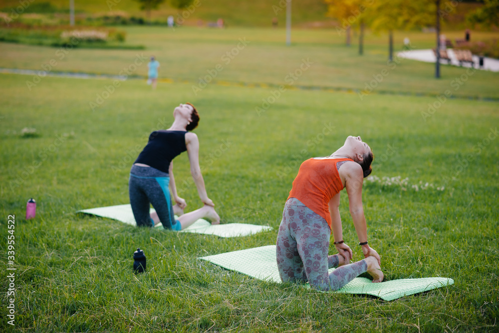 Fototapeta premium Young girls do yoga outdoors in the Park during sunset. Healthy lifestyle