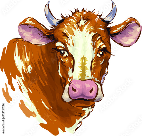 Red cow on a white background. Sketch. Cow head, freehand drawing, vector image.