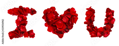Love of rose petals isolated on white