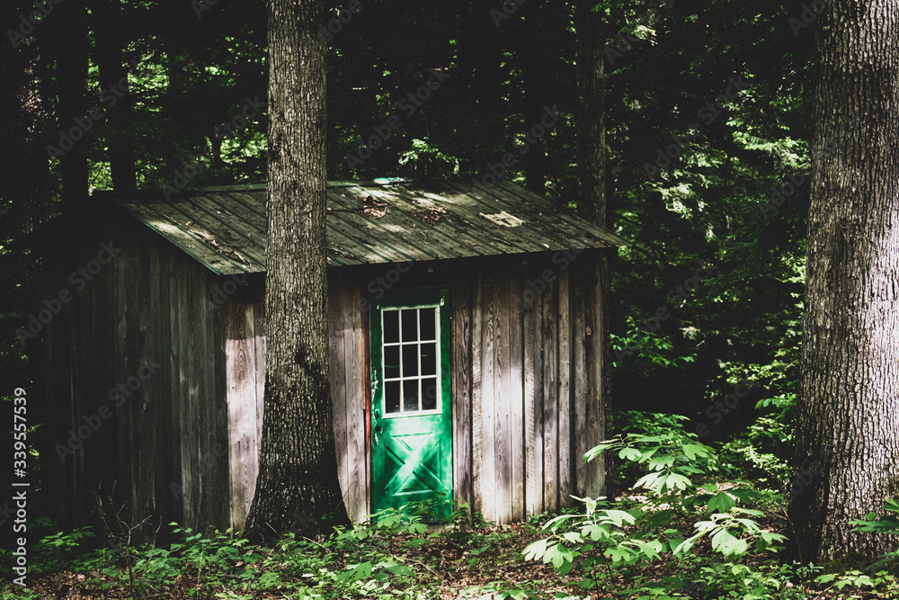 Cabin In The Woods Cabin In The Woods