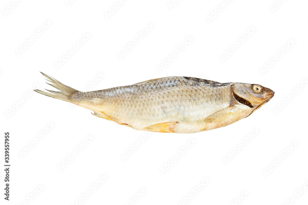 one dried fish on a white background for your design or beer bar menu one dried fish on a white background for your design or beer bar menu
