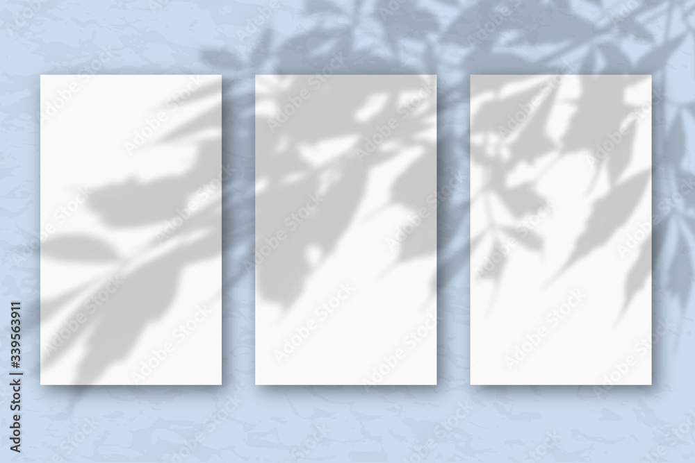 3 vertical sheets of white textured paper on a pastel blue wall background. Mockup with an overlay of plant shadows. Natural light casts shadows from the tree's foliage