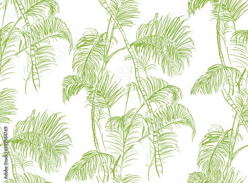 Wallpaper Mural Light Green Spring Palm Leaves Tropics Linear Drawing, Tropical Wallpaper Design, Rainforest Botanical Doodle Illustration, Summer Tropics Trees on white Background Torontodigital.ca