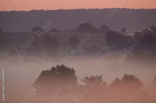 Paysage en foret de Troncais photo