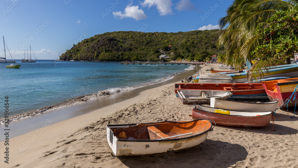 The Martinique Beach Landscape