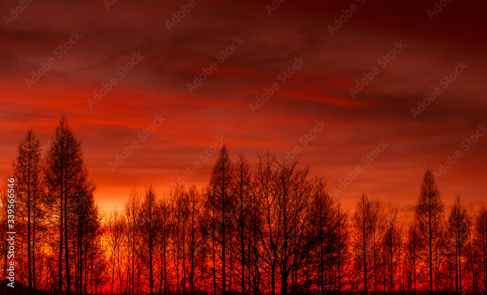 Obraz premium ognisty zachód slońca 