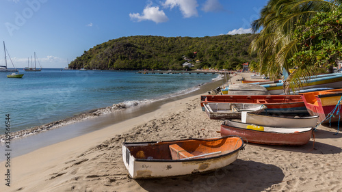 The Martinique Beach Landscape