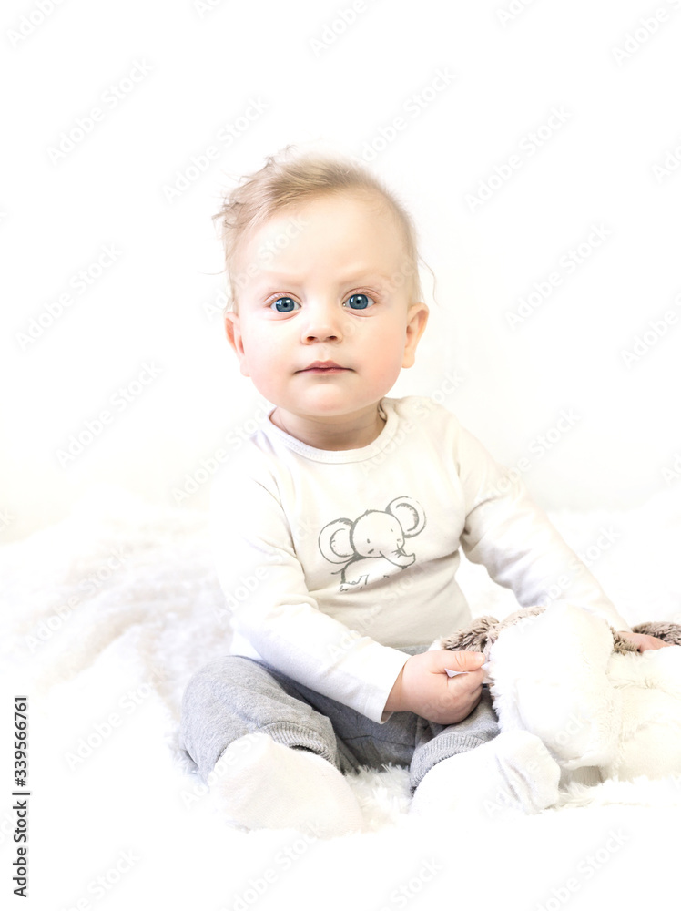 Portrait of a cute six month old baby with a toy. baby sits in white background Portrait of a cute six month old baby with a toy. baby sits in white background