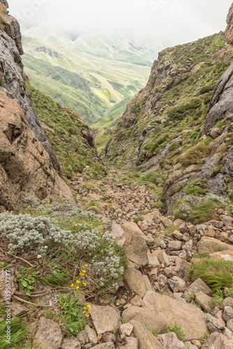 Sentinel Gully at the Amphitheatre in the Drakensberg photo