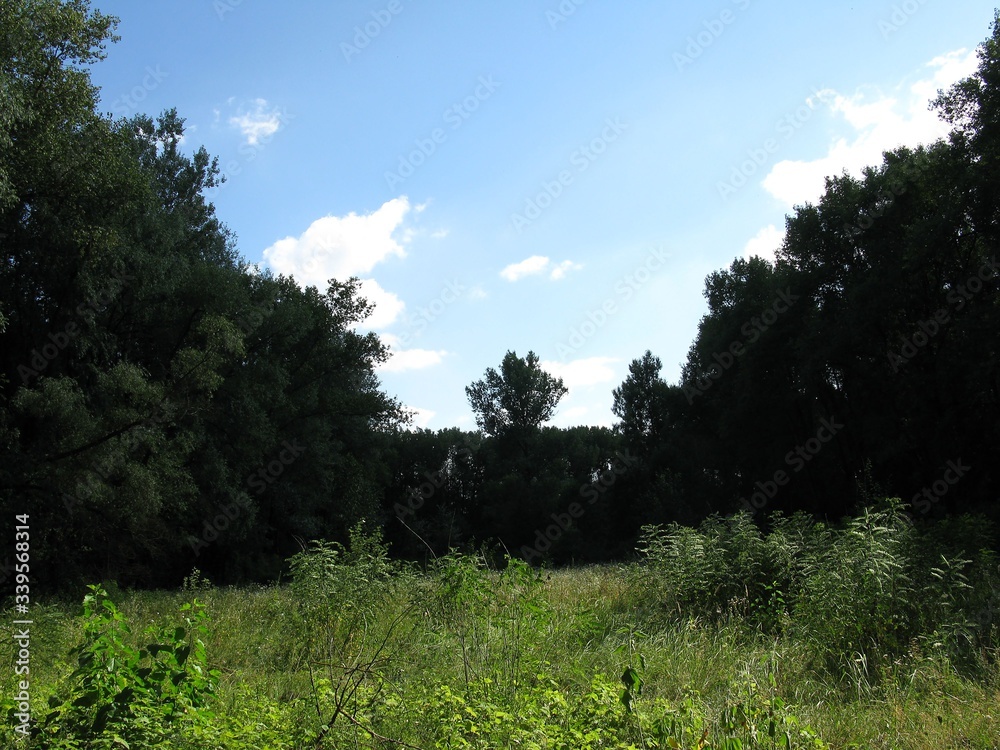 Obraz premium mountain landscape with blue sky