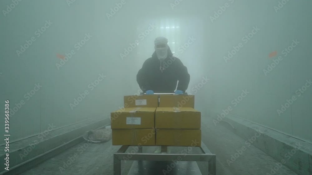 Worker are moving boxes to store in cold storage