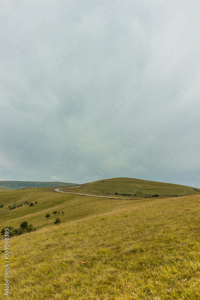 Fototapeta premium minimalism of nature